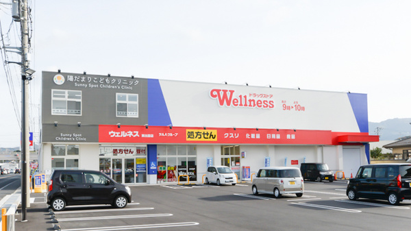 ウェルネス薬局東出雲店の外観