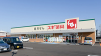 スギ薬局 金沢有松店の外観