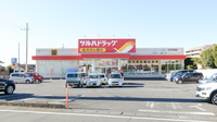 調剤薬局ツルハドラッグ水戸元吉田店の外観