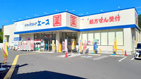 ドラッグストアエース鳥取おうちだに薬局の外観