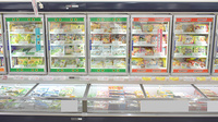 コスモス調剤薬局　下の町店の冷凍商品