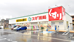 スギ薬局 市川大和田店の外観