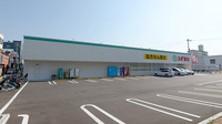 スギ薬局 渋川南店の駐車場