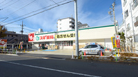 スギ薬局 蓮根店の外観