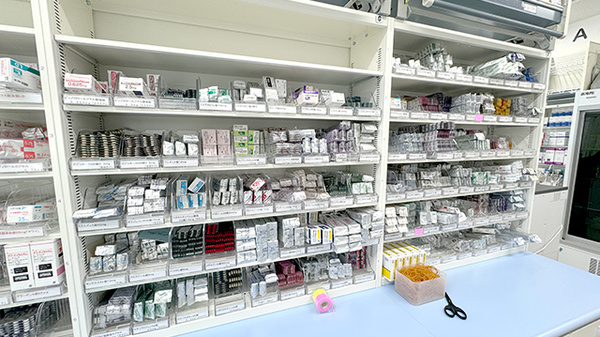 ノルデン薬局 白石本通店の薬棚