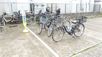 スギ薬局 東新小岩店の駐輪場