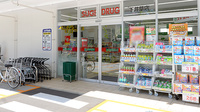 スギ薬局 下井草店の入口