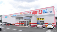ププレひまわり薬局新涯一丁目店の外観