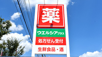 ウエルシアプラス薬局鳥栖蔵上店の看板