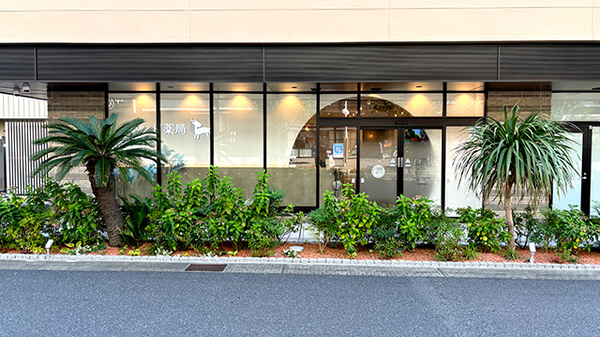 バンビ薬局守谷店の外観