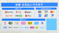 薬局日本メディカルシステム 新守谷店のクレカ/電子マネー/スマホ決済対応