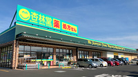 杏林堂薬局岩井店の外観