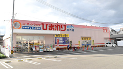 ププレひまわり薬局川内店の外観