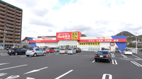 ウェルネス薬局大田中央店の外観
