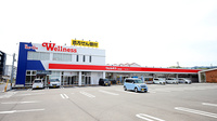 ウェルネス薬局川津北店の外観