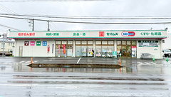 ドラッグセイムス伊奈中央薬局の外観