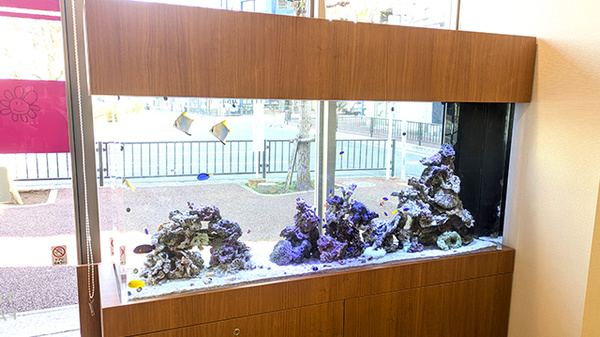 フラワー薬局 北松戸駅東口店のその他