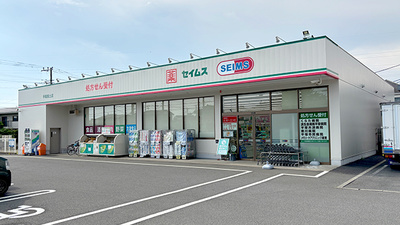 ドラッグセイムス平塚真土薬局