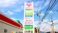 レデイ薬局　川内店の看板