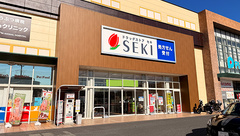 セキ薬局　ピアシティ南越谷店の外観