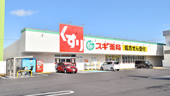 スギ薬局 平田店の外観