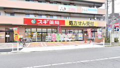 スギ薬局 板橋徳丸店の外観