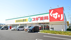 スギ薬局 あきる野引田店の外観