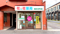 花・花薬局梅田本町店の外観