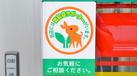 スギ薬局 上池台調剤店の認知症サポーター