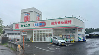 ドラッグセイムスあきる野舘谷薬局の外観