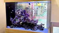 フラワー薬局富士見台3号店のその他
