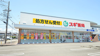 スギ薬局 駿河西脇店の外観