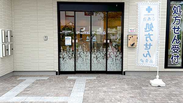 入口