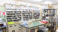 サンリツ薬局　杉戸清地店の調剤室