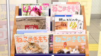 薬局おくすり本舗　北習志野店の書籍