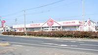 ヤックスドラッグ　つくばみらい平薬局の外観
