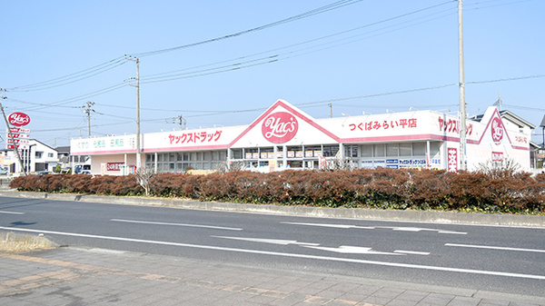 ヤックスドラッグ　つくばみらい平薬局の外観