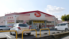 ヤックスドラッグ　成田薬局の外観