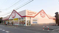 ヤックスドラッグ　我孫子新木薬局の外観