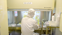 福神調剤薬局　屋形原店の作業風景