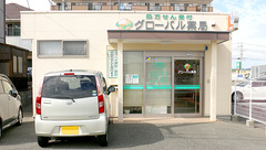 グローバル薬局の外観