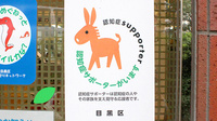 日生薬局　三宿店の認知症サポーター