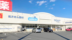 ウエルシア薬局　玉村下新田店の外観