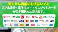 ドラッグセイムス墨田横川薬局のクレカ/電子マネー/スマホ決済対応