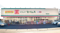 ドラッグセイムス　毛呂山薬局の外観