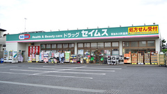ドラッグセイムス　草加氷川町薬局の外観