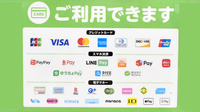 ドラッグセイムス見沼新堤薬局のクレカ/電子マネー/スマホ決済対応