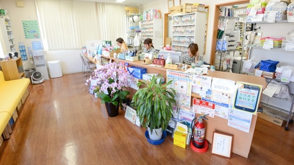 どんぐり薬局の受付/カウンター