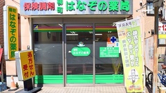 柳町はなぞの薬局の外観