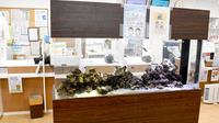 フラワー薬局代々木上原店のその他